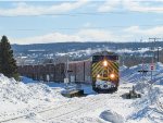 CN 3979 leads 403